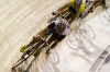 _MG_3914.jpg - 2009:02:03 23:35:54