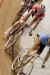 _MG_3898.jpg - 2009:02:03 23:34:45