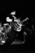 CRW_7499.jpg - 2005:03:16 22:46:45