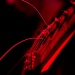 _MG_7686.jpg - 2005:06:24 23:14:26