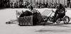 _MG_7884.jpg - 2005:06:26 17:24:04