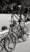 _MG_7838.jpg - 2005:06:26 17:00:17