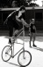_MG_7854.jpg - 2005:06:26 17:12:39
