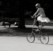 _MG_7851.jpg - 2005:06:26 17:11:19