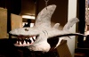 _MG_9875.jpg - 2006:09:22 18:45:27