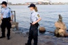 _mg_8224.jpg - 2007:06:22 18:10:12