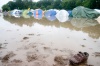 _crw_4240.jpg - 2007:07:06 10:12:02